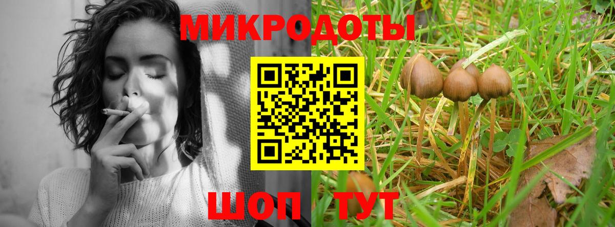 Фрязино  Галлюциногенные грибы ЛСД  Вход с VPN  Псилоцибиновые грибы GOLDEN TEACHER 